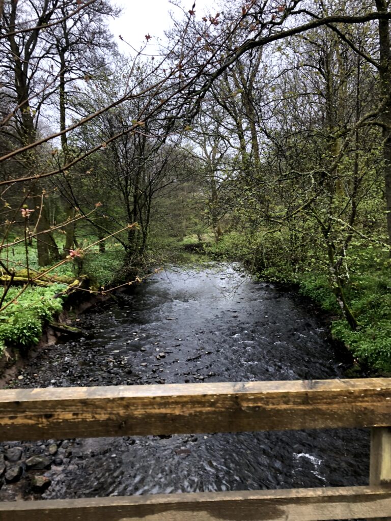 Bachlauf entlang des West-Highland Ways, sattes grün in den Wäldern 